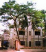 Институт йоги в Бомбее (Yoga Institute, Mumbai)